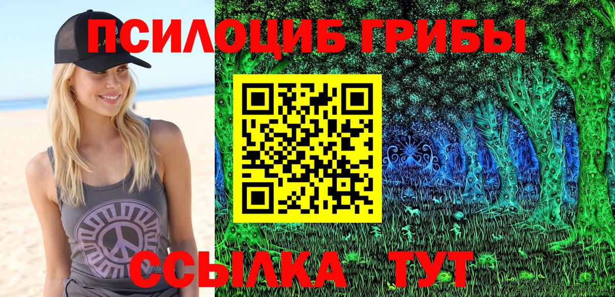 Стерлитамак  Псилоцибиновые грибы GOLDEN TEACHER  Галлюциногенные грибы Magic Shrooms  Вход с VPN 